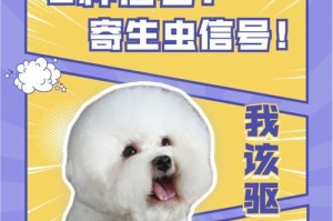 狗犬驱虫的重要性（了解为什么要给狗犬进行体内驱虫）
