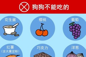 狗狗为什么不能喝牛奶？（解析狗狗不能饮用牛奶的原因及影响）