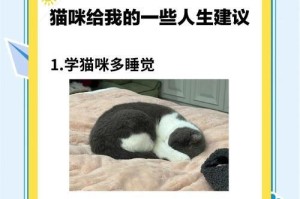 小猫睡眠需求与发育（睡眠时长是猫咪健康成长的关键）