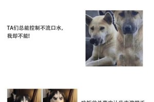 狗的大便揭示着健康秘密（从狗的大便中读懂它的身体状况）