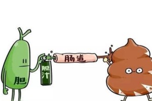呕吐物中有胆汁，身体发出危险信号（胆汁出现在呕吐物中，病因及应对措施揭秘）