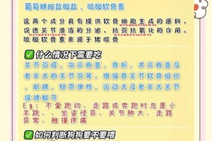 幼犬补钙时间与方法（科学补钙为宠物犬打下坚实的成长基础）