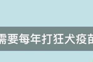 猫咪的疫苗接种（了解猫咪打疫苗的费用、次数和效益，给它们更长久的生活）