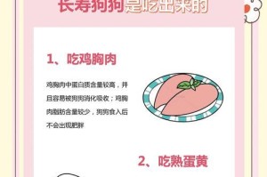 延长德国牧羊犬寿命的关键措施（了解6项关键要点，让德国牧羊犬健康长寿）