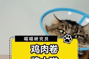 怎样给受伤的猫咪喂药？（为了猫咪的健康，掌握正确喂药方法是关键！）