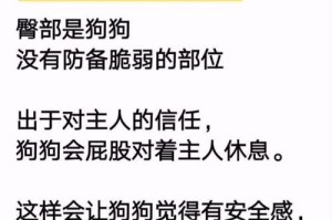 为什么狗狗会对主人狂叫？（探索狗狗狂叫的原因与解决方法）