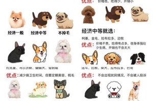 养泰迪和比熊的区别及注意事项（从毛发、性格、健康等方面看泰迪和比熊的不同）