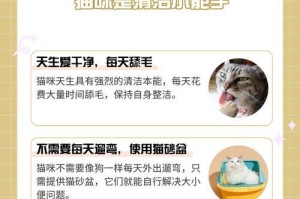 以蜜袋鼯为宠物的养护要点（宠物蜜袋鼯的饲养、环境和健康管理）