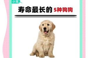 不长命的狗狗（了解这些特征，让我们更好地照顾它们）