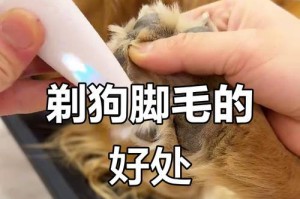 宠物狗狗脚毛长不剪危害大，必须注意！（探究宠物狗狗脚毛长不剪的危害及防治方法）
