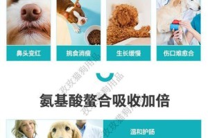 狗狗的健康福音（探索狗狗饮食中丰富的微量元素，提升它们的健康指数）
