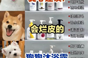 如何选择边牧洗澡用品？（边牧洗澡用什么最好？优质用品选择指南）