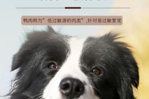 比熊过敏食物鉴别及处理方法（了解比熊的过敏原，帮助你的宠物拥有健康饮食）