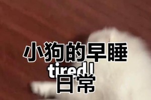 幼犬的睡眠需求及调控（探究3个月幼犬每天的睡眠时长及其重要性）