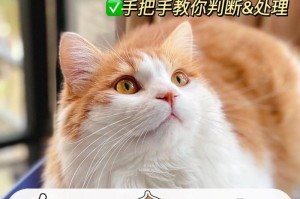 玻璃猫的饲养指南（了解玻璃猫的饲养技巧，让它健康成长）