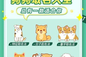 如何选择一个好听的狗名字？（探索15个让你喜爱的狗名字）