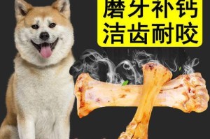 幼犬可以啃大棒骨吗？（谨慎选择骨头种类，为宠物健康着想）