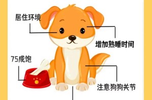 马尔济斯犬的用途——除了宠物还有哪些？（探究马尔济斯犬在人类生活中的多重身份）