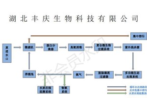 环喉雀饲养指南（从选择到照顾，让环喉雀健康快乐生活）