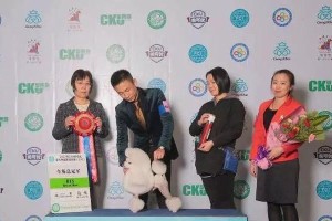 秦皇岛犬舍之旅（探索秦皇岛精品犬舍，一窥宠物世界的奇妙）