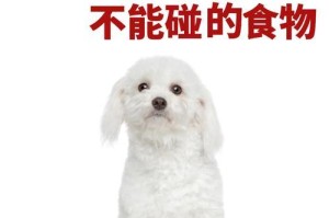 博美幼犬为什么不能吃太多（小心喂养，保护健康）