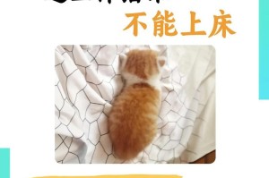 猫藓患者忌食之物（小猫得了猫藓，不能吃这些食物）