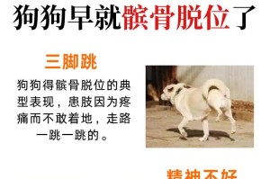 狗狗髋关节发育不良的原因及预防方法（了解狗狗髋关节发育不良的原因，让它们健康快乐成长）