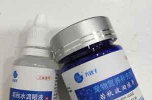 比熊犬最喜欢的零食是什么？（挑选合适的零食，让你的比熊犬健康快乐）