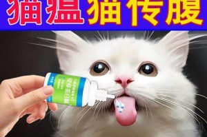 猫咪呕吐腹泻用药全攻略（药品分类、剂量规范、禁忌症以及日常预防措施）