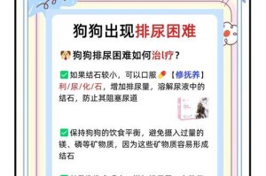 探究狗狗肌酐高的原因及相关问题（了解狗狗肌酐高的症状和处理方法）