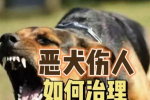 斗牛犬咬人事件频发，如何避免？（宠物的责任与担忧）