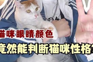 猫眼皮的颜色之谜（揭秘猫眼皮为什么会有不同的颜色）