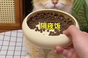 照顾病猫，正确喂食是关键（以猫生病时应该给它吃什么？）