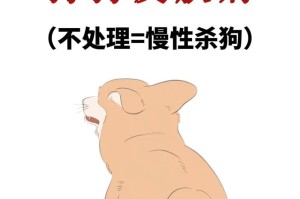 以养狗人易患皮肤病的原因及预防措施（了解为何以养狗人易患皮肤病，有效预防从我做起）