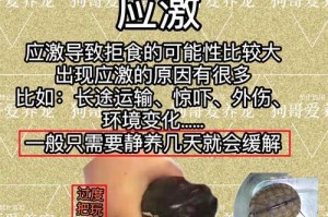 小乌龟的饮食习惯与食物选择（营养均衡的）