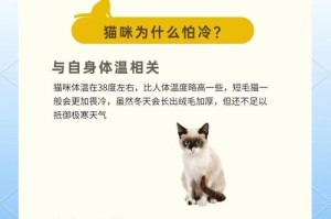 猫运动后多久洗澡最合适？（科学探究猫洗澡的最佳时机）