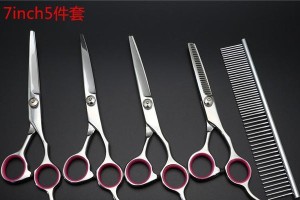 打造完美宠物形象——狗狗美容工具全揭秘（揭秘狗狗美容工具，让你的宠物焕发自信光彩）
