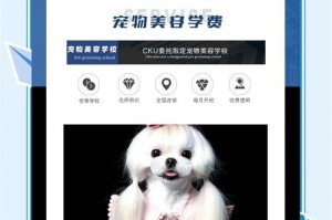 宠物美容的学习时间究竟需要多久？（探讨宠物美容技能的学习成本和时间投入）