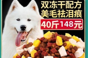 萨摩和比熊，谁更聪明？（比较两种犬种的智商和训练能力）