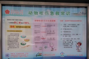 泰迪狂犬疫苗接种后合适洗澡时间（狂犬疫苗接种后洗澡需要注意的事项及时间）