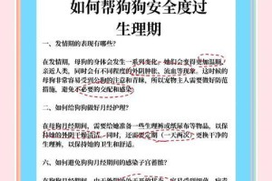 训狗期（揭秘训狗期的关键时间点，提供专业训狗建议）