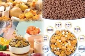 金毛犬适合食用干狗粮的时间及注意事项（了解金毛犬适合食用干狗粮的时间和如何正确选择和喂养）