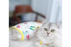 绝育后的猫（探究绝育对猫咪的影响，了解为什么绝育后的猫是最佳选择）