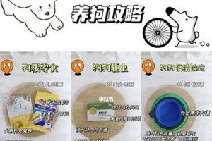 儿童养狗手续全解析（为你的孩子养狗做好准备，从这些手续开始！）