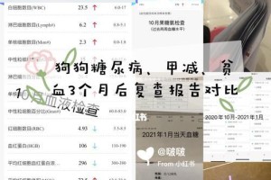 狗狗病后的恢复时间究竟需要多久？（了解关键因素并制定合理计划）