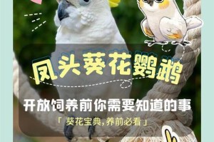 养小葵花凤头鹦鹉要注意什么？