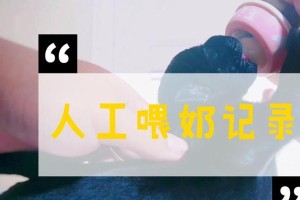 如何给幼犬进行人工哺乳（幼犬的健康成长全靠你！）