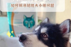 雨天狗狗为什么咳嗽的原因和处理方法（狗狗咳嗽的常见原因及预防措施）