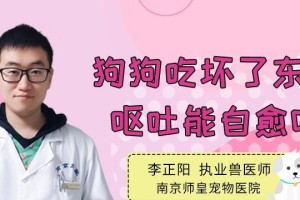 狗吃坏东西应该购买哪种药物？（狗吃坏东西造成的常见问题及药物治疗方法）