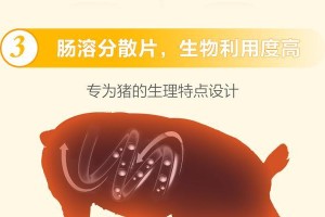 50天小狗如何正确选择和使用打虫药（营养均衡的饮食和适时的打虫药是小狗健康成长的关键）